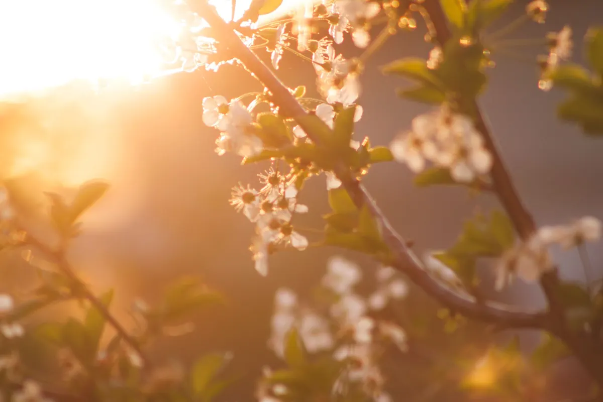 A Spring Equinox Storytelling Checklist: 8 Mindful Ways to Welcome the Light