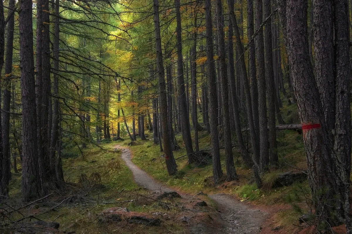 Seasonal Storytelling: Autumn Tales to Ease Anxiety and Encourage Rest